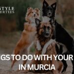 Things to Do with Your Dog in Murcia
